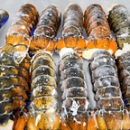 Best Lobster Tail in Frederick, MD